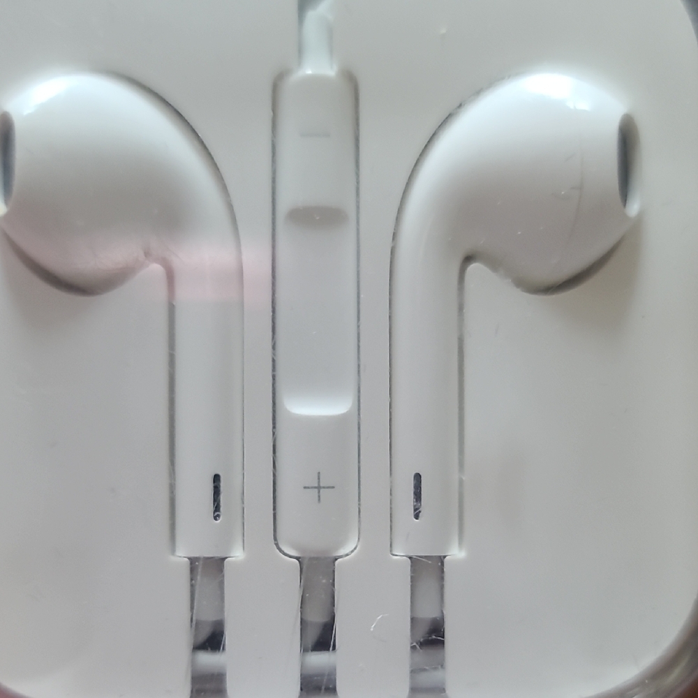 NWOT Apple Ear Buds